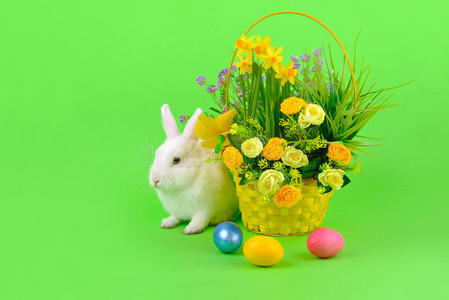 复活节绿色甜美的白色兔子