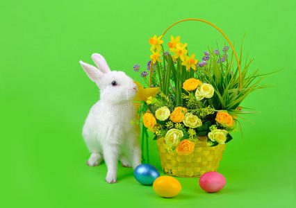 白兔子和绿色的花篮