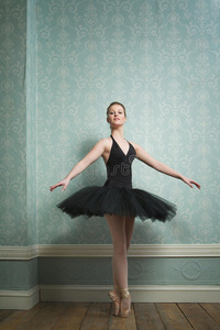 美丽的芭蕾舞演员在舞蹈姿势