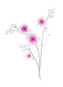 水彩兰花矢量素描