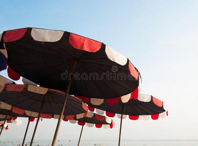 沙滩上的彩色伞
