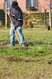 季节 领域 后院 持有 工人 割草 园丁 杂草 园艺 男人