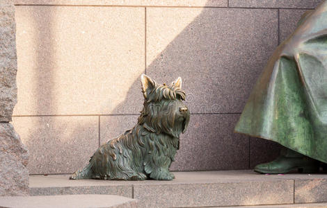 华盛顿罗斯福纪念馆的宠物狗