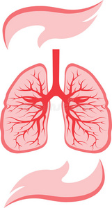 肺和手图标