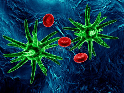 绿色细菌和红细胞图片