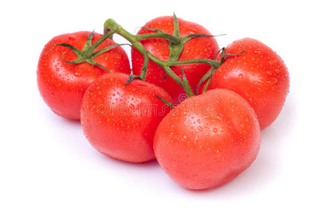 白番茄