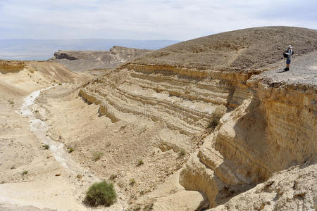 以色列 徒步旅行 朱迪亚 干旱 边缘 岩石 峡谷 追踪 旅游业