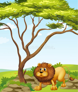 山上大树旁的狮子