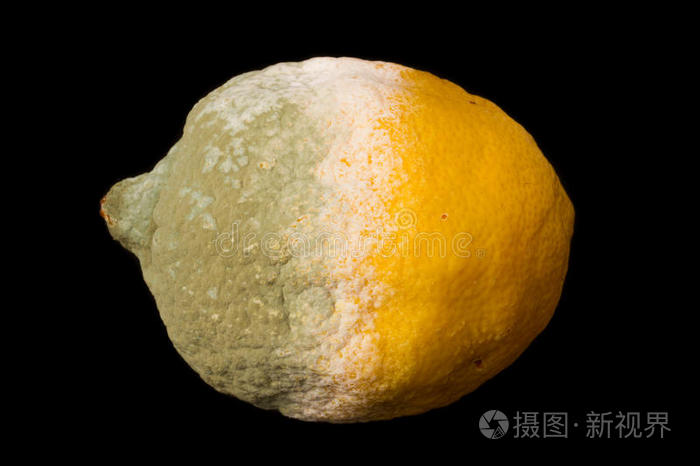 腐烂的柠檬照片-正版商用图片0n1g4p-摄图新视界