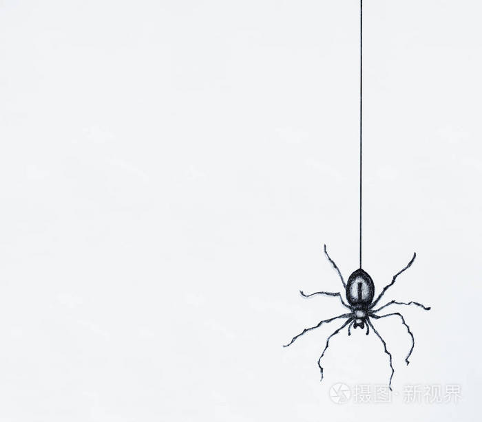 在黑色中国画的黑色蜘蛛剪影在白色板料背景被隔绝的垂悬的图