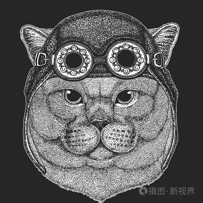 英国人高贵的猫男手画纹身, 徽章, 徽章, 标志, 补