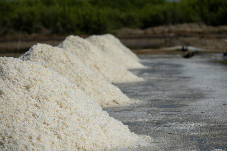晴朗的日子里的白色盐场。皇家高品质的免费股票片段白色盐场在一个海滩村。盐是人们的重要食物。