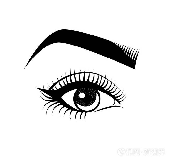 女性的眼睛和眉毛.化妆.美容行业.矢量图