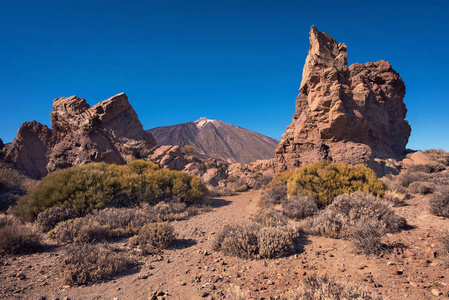 Teide 国家公园在晴朗的天特内里费岛, 加那利群岛, 西班牙