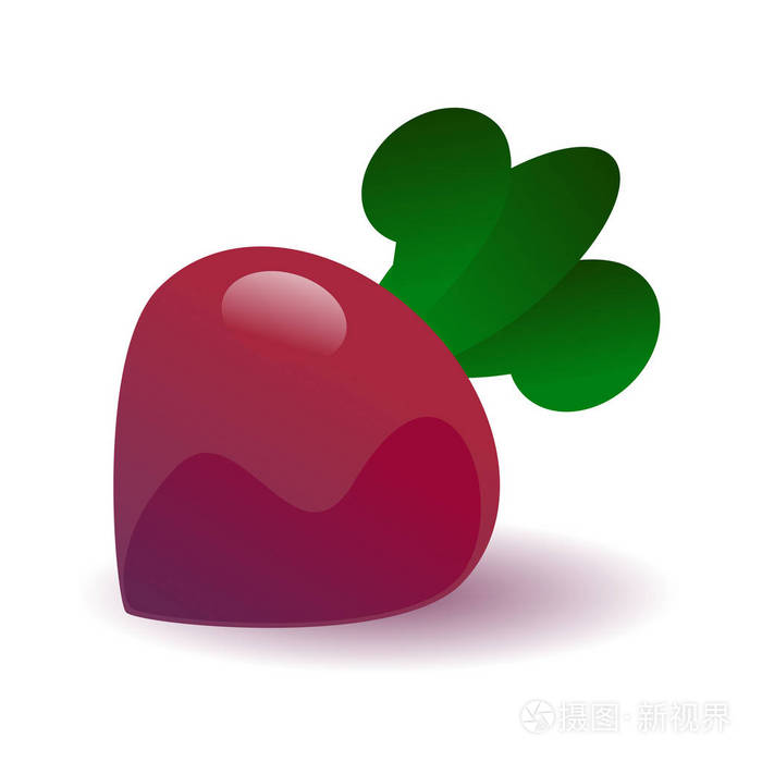 成熟甜菜载体例证插画-正版商用图片0n33qc-摄图新视界