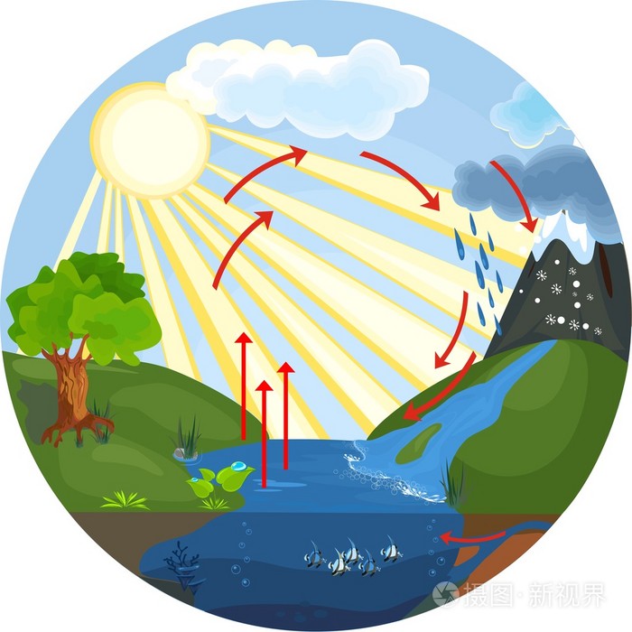 水循环