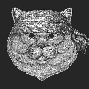 英国人高贵的猫男手画纹身, 徽章, 徽章, 标志, 补