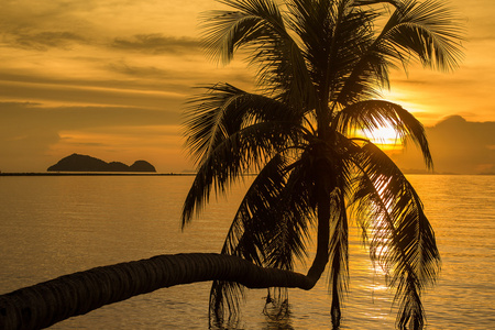 日落热带海滩上的棕榈树剪影
