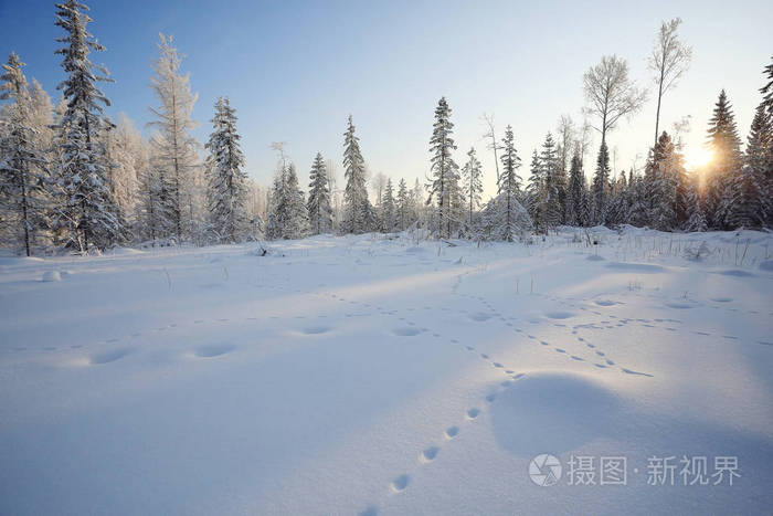 白雪皑皑的冬天风景照片-正版商用图片0n43d4-摄图新视界
