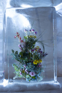 冰冻冰块中的花朵冰雕
