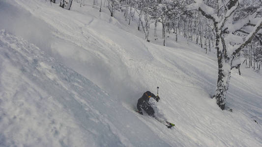 雪林滑雪深粉