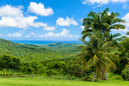 加勒比岛国巴巴多斯热带高地风光