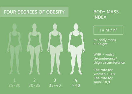 女人的身影。肥胖的阶段。身体质量指数。图表