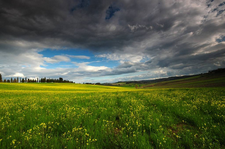 油菜花黄色与蓝色多云的天空，基安蒂，锡耶纳区卡斯特利那附近的托斯卡纳景观。意大利