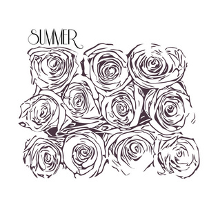 白色背景下的玫瑰单色插图。矢量
