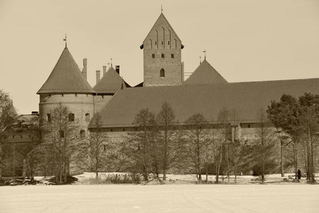 古老的城堡的特拉凯 立陶宛