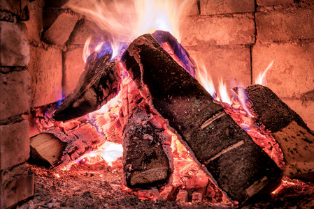 炉子里的火和树林壁炉