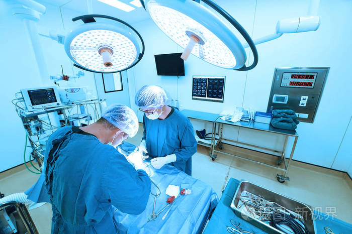 两名兽医外科医生在手术室里照片-正版商用图片0n5sqv-摄图新视界