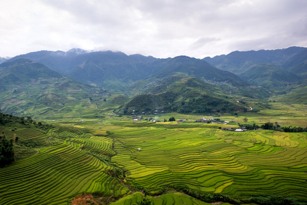 越南北部美丽的水稻梯田