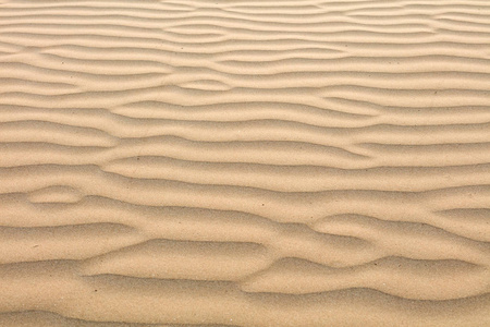 看起来像沙丘砂地层