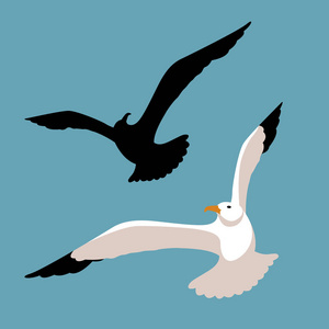 海鸥矢量插画风格平面设置