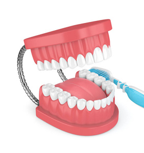 3d. 用牙刷在白色上的下巴模型渲染