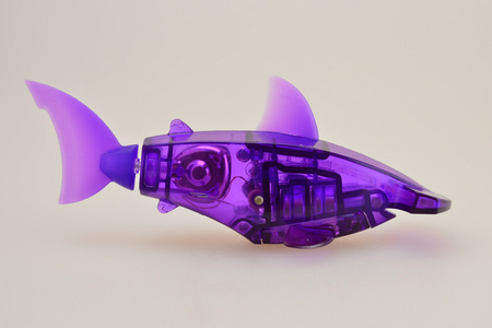 紫色的机械鱼