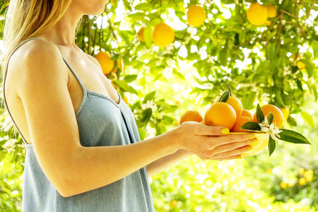 当地生产的橙树农场花园充满阳光。收割, 果子手采摘, 女农夫在时髦的衣裳。在树枝上完美的橘子。女孩在欢迎的姿势递碗满果子