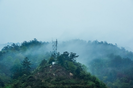 常绿森林概述高绿树顶有浓雾滚滚在郁郁葱葱的荒野