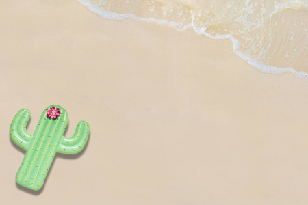 顶级景观照片的绿色仙人掌在沙滩上与干净的海浪。暑假概念