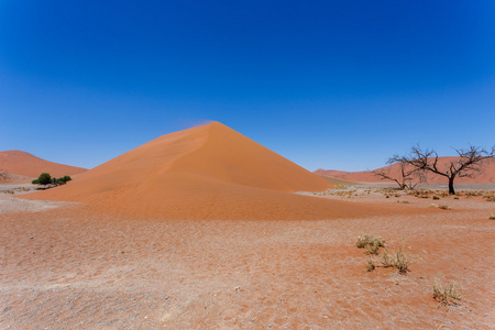 在 sossusvlei 纳米比亚与死树沙丘 45图片
