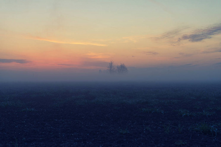 日出雾