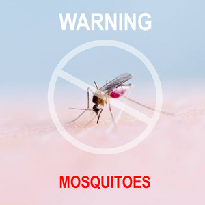 蚊子吸血在人体皮肤上的关闭, 蚊虫是疟疾的载体。脑炎。登革热 Zika 病毒