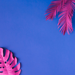 在蓝色背景, 概念艺术, 极小超现实主义的粉红色颜色的热带和棕榈叶