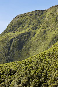 弗洛雷斯岛在亚速尔群岛景观。郁郁葱葱的绿色植被。Portug