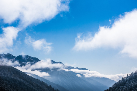 偏远地区的雪皑皑山和草原