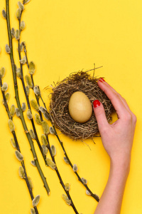 黄色手绘复活节彩蛋在柳树官燕