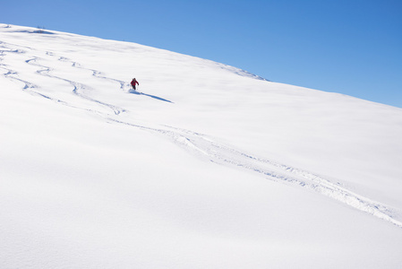 Freeriding 对新鲜粉雪