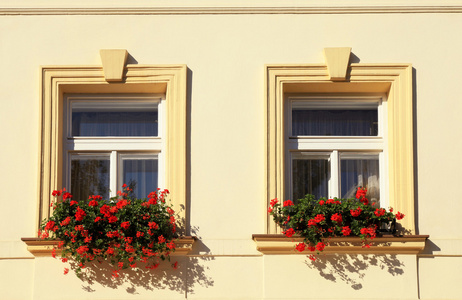 windows 和花箱，布拉格