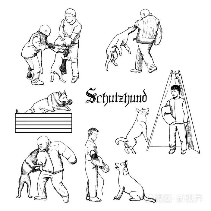 工作犬草图